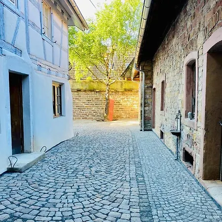 Vintner Neustadt an der Weinstrasse