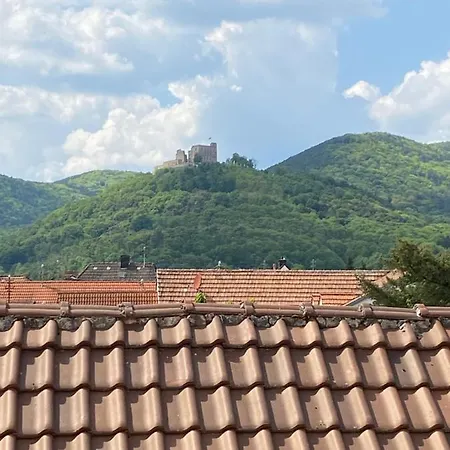 아파트 Vintner Neustadt an der Weinstraße