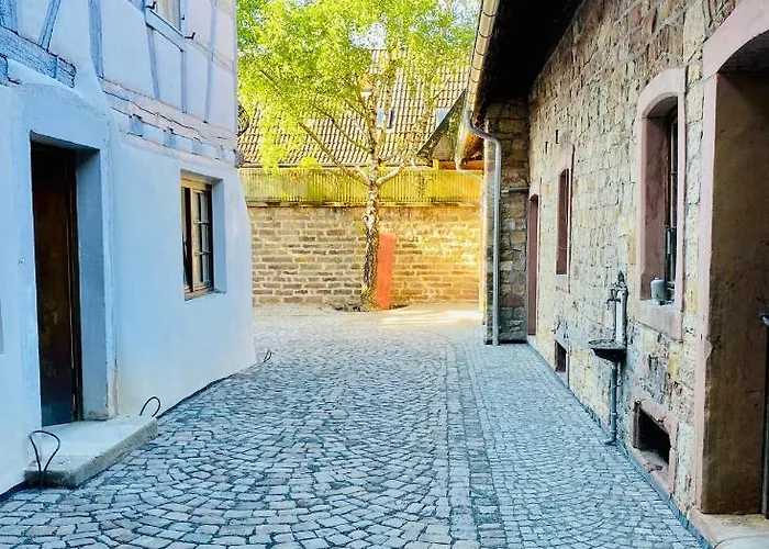 Vintner Neustadt an der Weinstraße