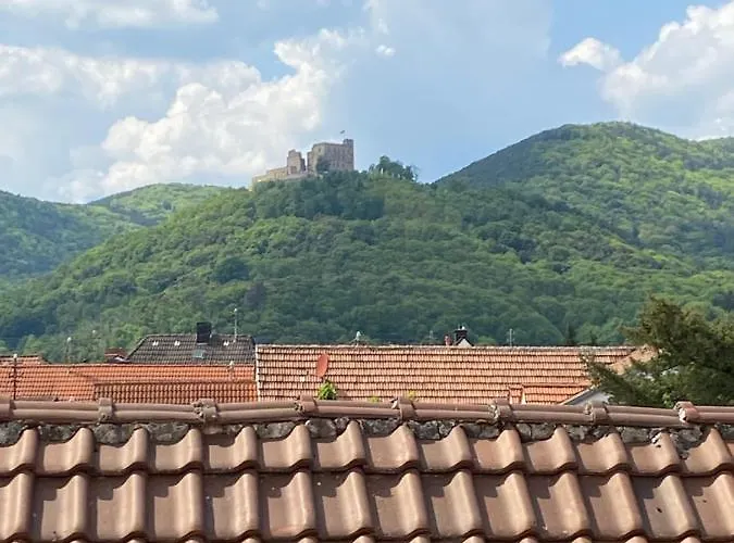 Apartamento Vintner Neustadt an der Weinstraße