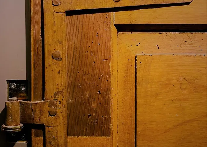 Apartment Vintner Neustadt an der Weinstraße