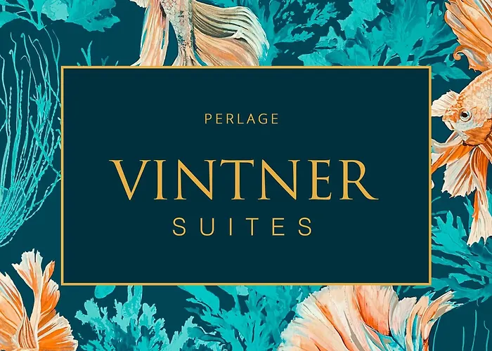 Vintner Apartment Neustadt an der Weinstraße